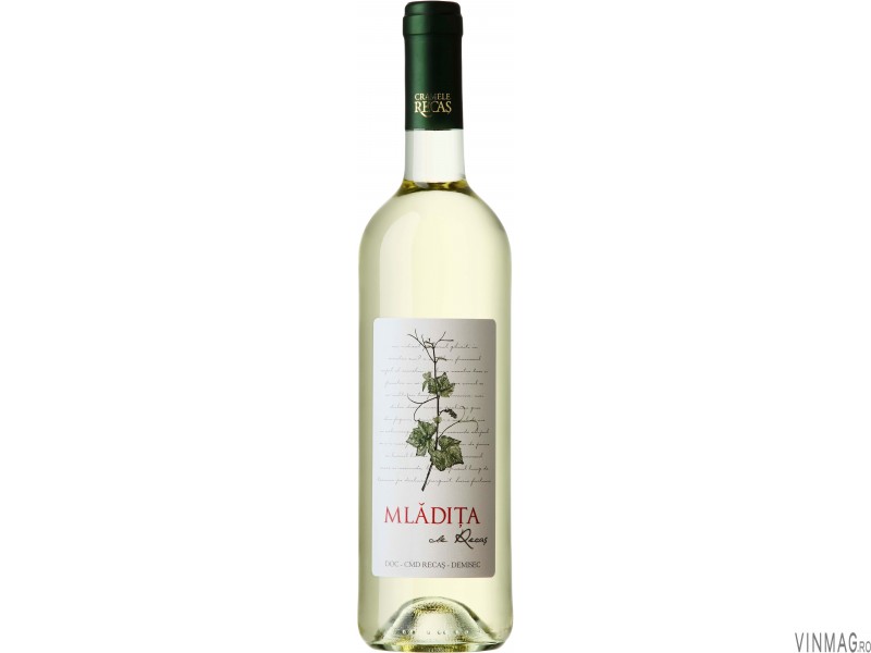 Vin Recas Mladita